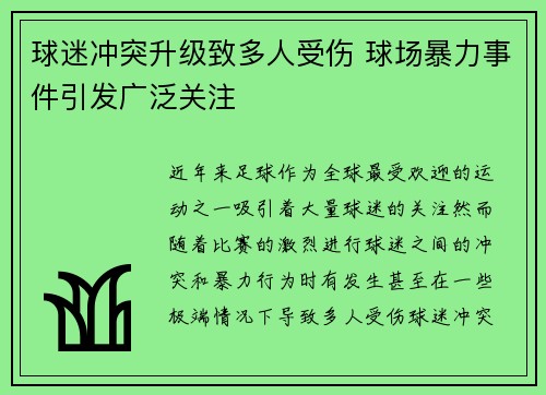 球迷冲突升级致多人受伤 球场暴力事件引发广泛关注