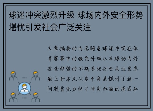 球迷冲突激烈升级 球场内外安全形势堪忧引发社会广泛关注